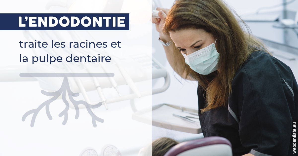 https://dr-levi-ted.chirurgiens-dentistes.fr/L'endodontie 1