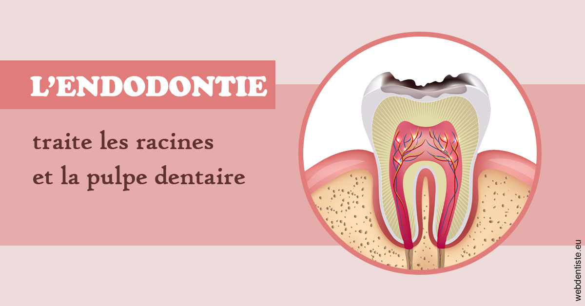 https://dr-levi-ted.chirurgiens-dentistes.fr/L'endodontie 2