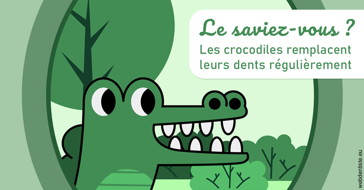 https://dr-levi-ted.chirurgiens-dentistes.fr/Crocodiles 2
